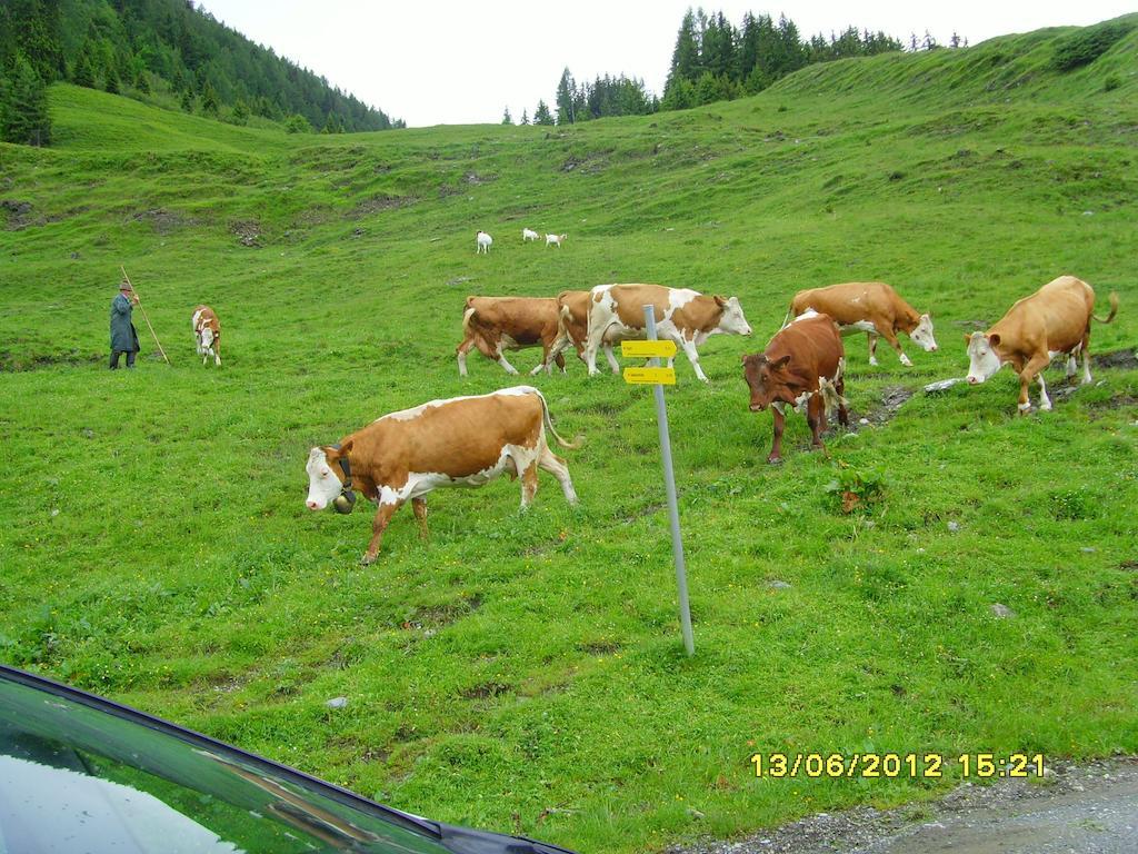 Feriendorf Ponyhof Hotel Fusch an der Grossglocknerstrasse Exterior foto